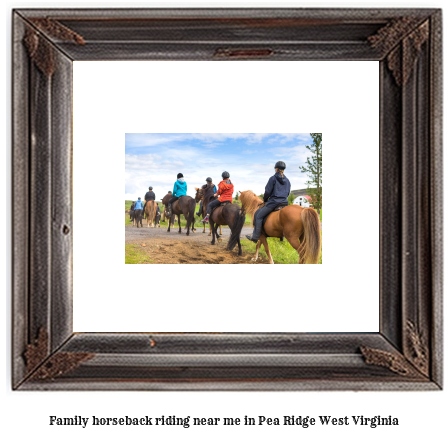 family horseback riding near me in Pea Ridge, West Virginia